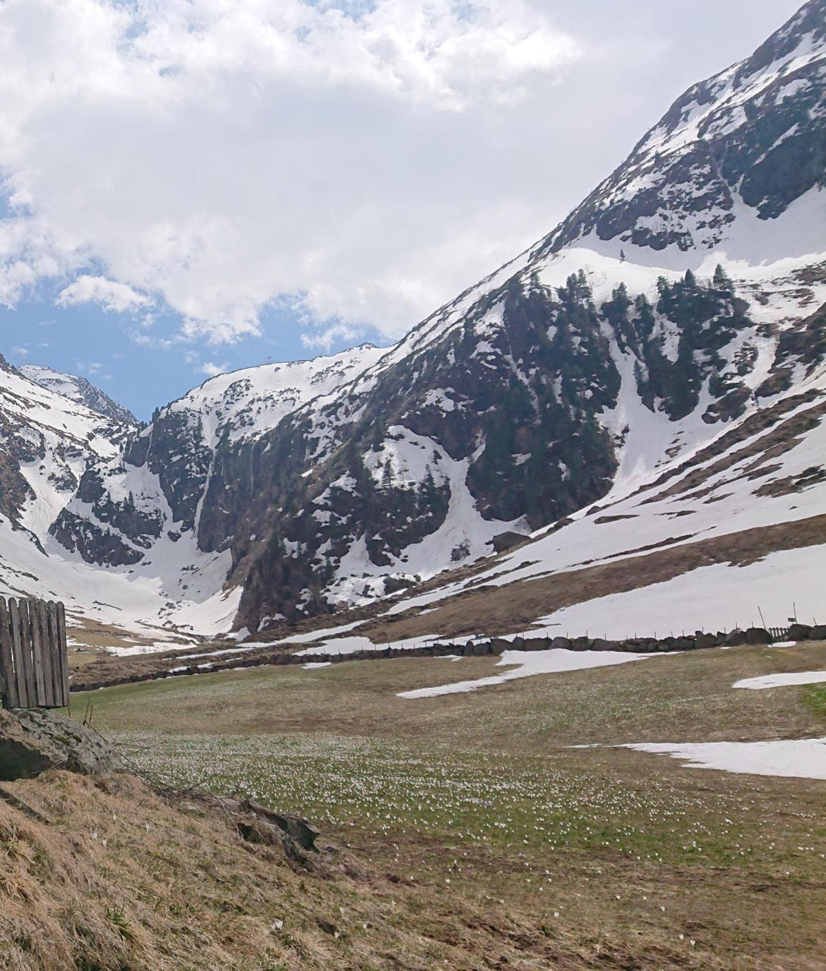 Landhaus Susanne Neustift im Stubaital Exterior foto